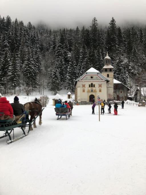 Au Pays Du Mont-blanc Appartement *
