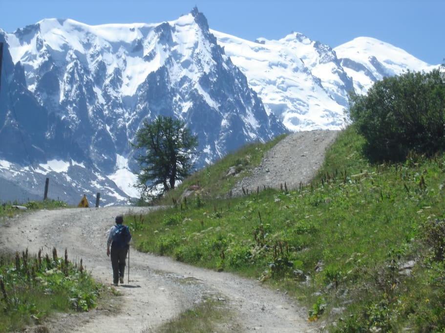 Appartement Au Pays Du Mont-blanc Sallanches